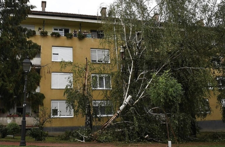 VELIKO NEVRIJEME: Stablo palo na djevojčicu, grom udario u avion (FOTO)