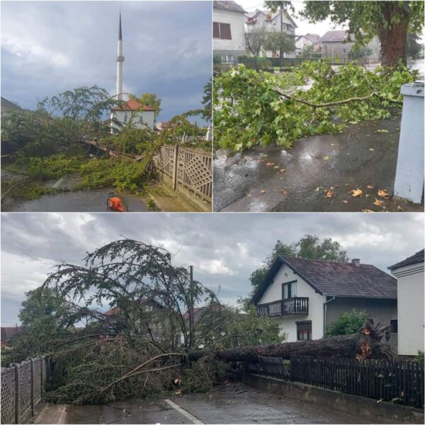 JAKO NEVRIJEME U BIH: Vjetar obarao stabla