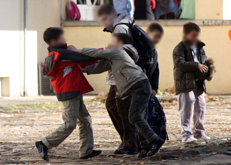 UŽAS U BIH: Učenik svom drugu ugurao glavu u WC šolju u školskom toaletu 