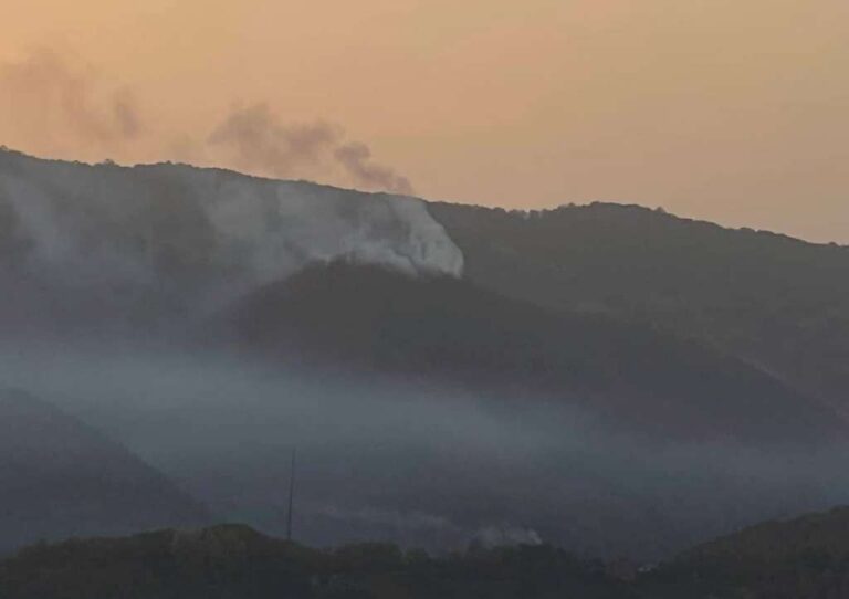 Aktivni požari na nekoliko lokacija na području Srebrenice, vatrogasci na tarenu