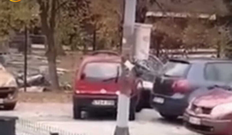 Snimak vozačice kako izlazi sa parkinga: Smijali se dvije minute (VIDEO)