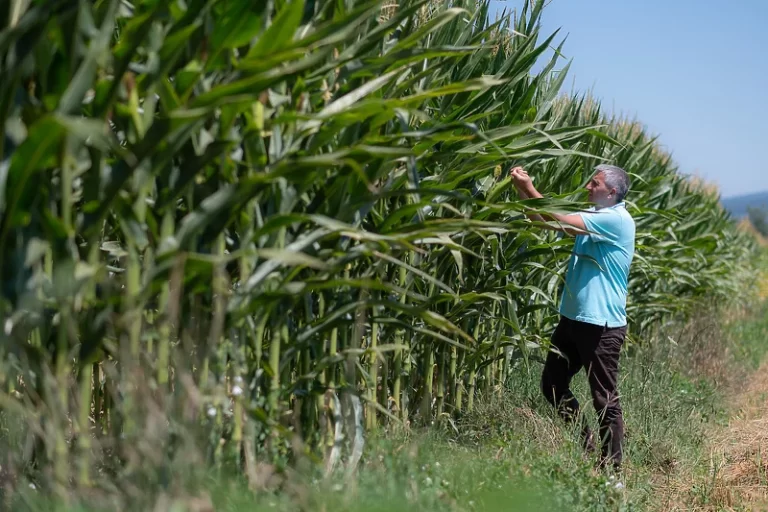 Smanjenje negativnog uticaja pesticida na okoliš uz pravilno rukovanje ambalažom