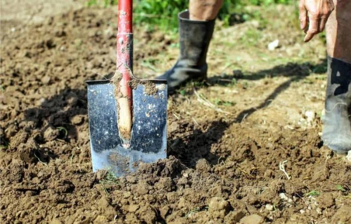 I ovo je BiH: Radniku komunalnog preduzeća oteli lopatu i udarali ga po glavi