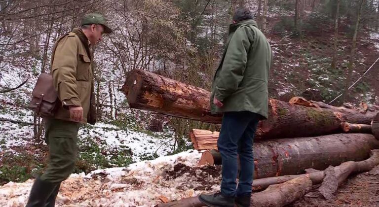 SLUČAJ U BIH: Šumar napadnut na dužnosti