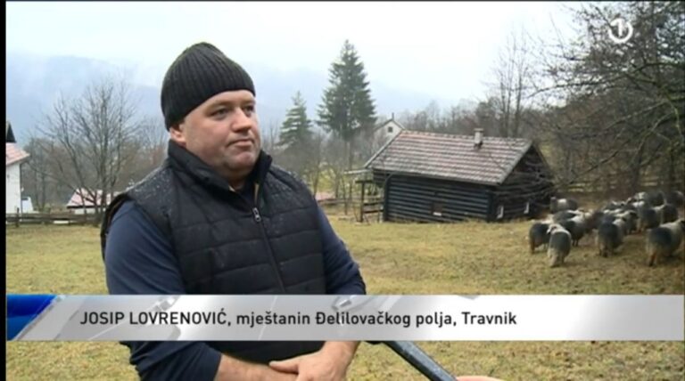 Kod Travnika zabilježeni napadi medvjeda, stanovništvo živi u strahu