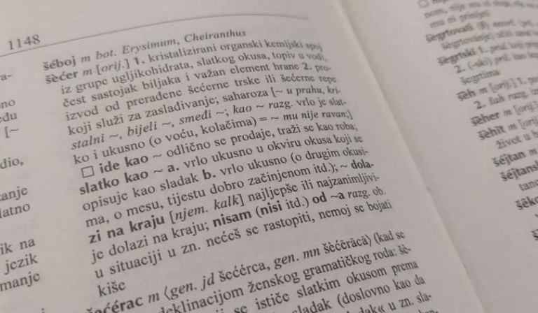 U Hrvatskoj održano takmičenje u novim riječima: Znate li šta znači prestrujnik ili bakroza?