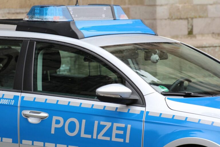 Njemačka: Uhapšen bh. državljanin, sumnjiči se za seksualno zlostavljanje konja