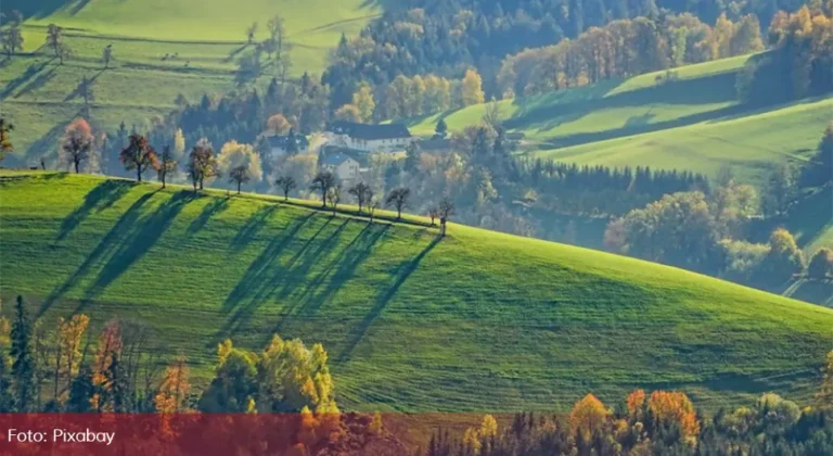 Obračun komšija motkama, završili u bolnici