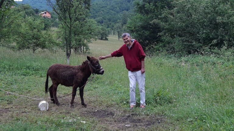 Elvis J. Kurtović: Život je ispao luđi od “Nadrealista”