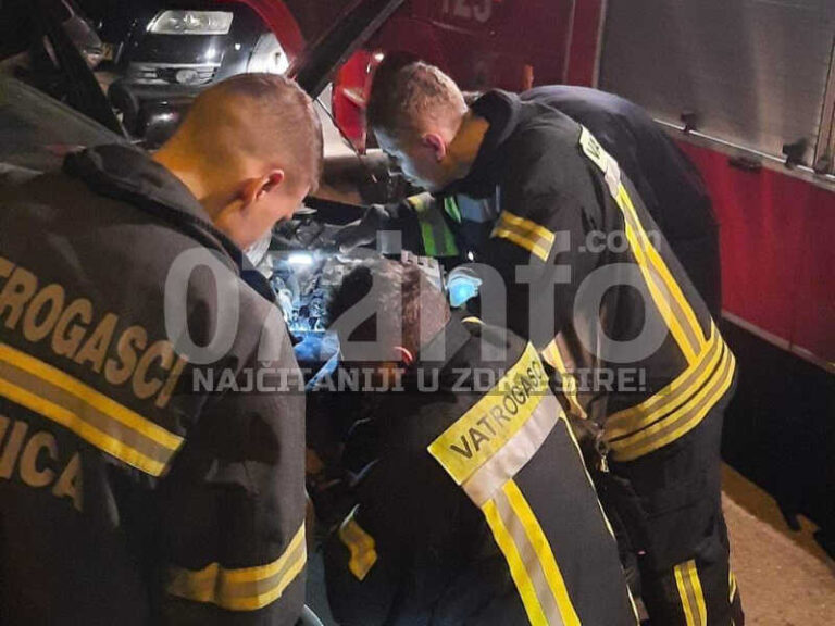 Još traje potraga za zmijom u autu na Crkvičkom brdu (FOTO)