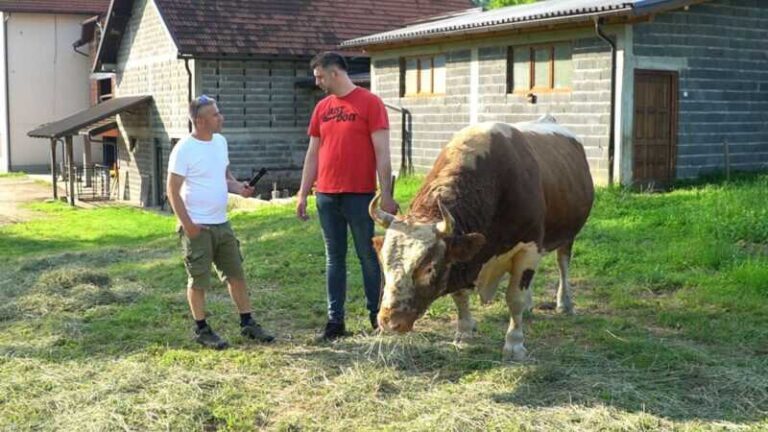 Ko je mladi Jozun iz Busovače koji pravi najposjećenije koride u BiH