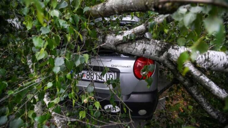 JAKO NEVRIJEME: Tuča razbila prozore automobila, vjetar čupao stabla, povrijeđena djevojka