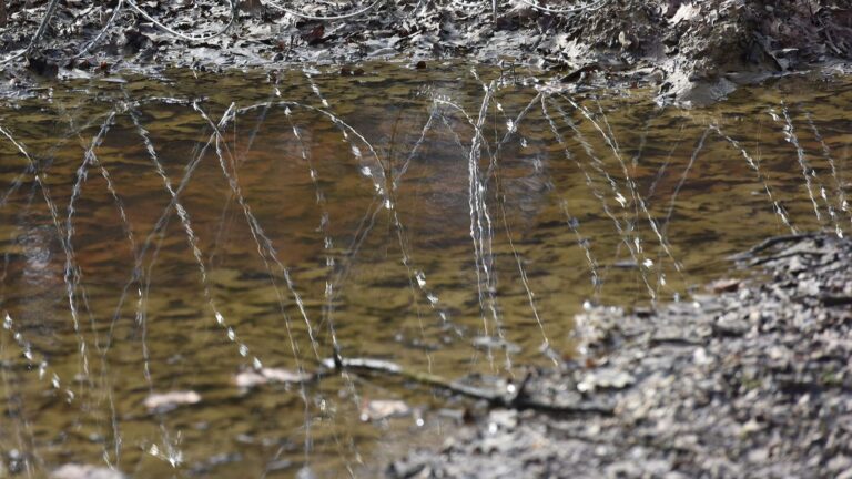 Desničarska stranka iz Hrvatske traži žicu na granici sa BiH