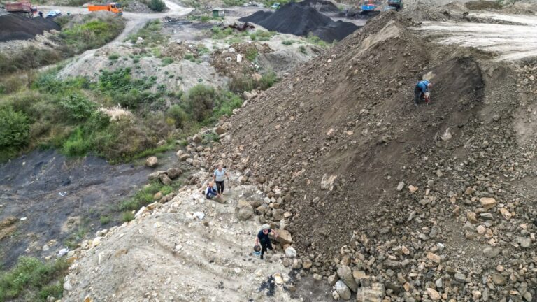 ZENICA: Komšo, Kauboj i Gluhi vazdan traže ugalj da zarade crkavicu od 20 maraka