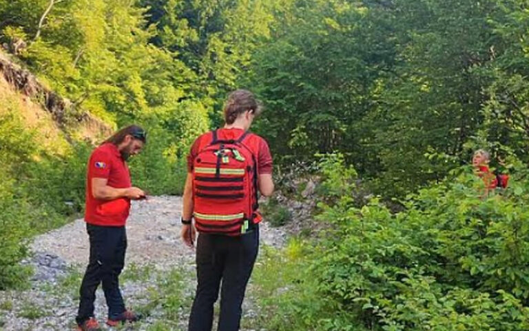 SLUČAJ U BIH: Muškarac tražio kravu pa se izgubio. Sada njega traži GSS