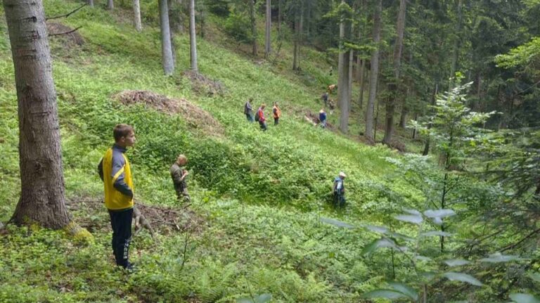 Pronađeni posmrtni ostaci jedne osobe kod Olova