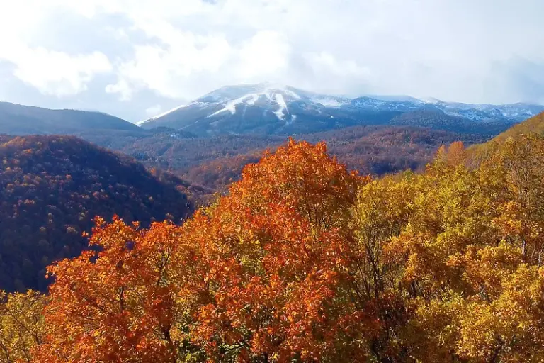 Ski sezona na Bjelašnici mogla bi početi prije planiranog, sezonske karte u preprodajnim cijenama