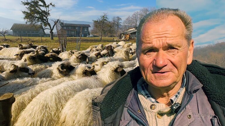 Mladi ne žele ovce a hoće novce (VIDEO)