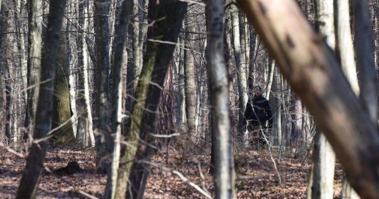 Žena pronađena mrtva u šumi: Životinje joj izgrizle tijelo!?