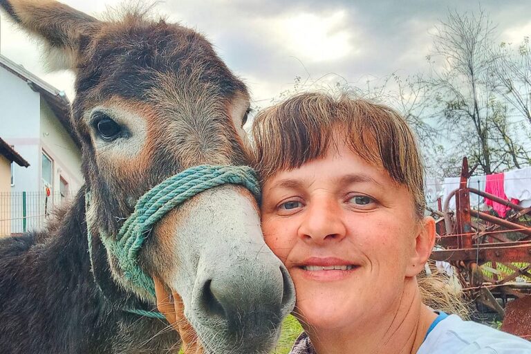 Na magarećoj farmi u BiH “gori sveta zemlja od veselja” (FOTO)