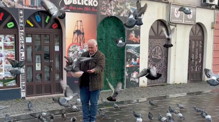 Ahmet Bajrić Blicko svako jutro hrani hiljade golubova ispred svoje radnje u Tuzli