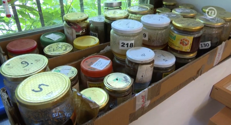 Kako prepoznati pravi med? U nekim mješavinama pronađeni ostaci antibiotika I pesticida