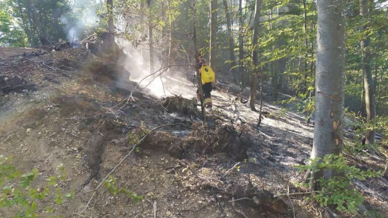 Požar na Bjelašnici eskalirao i silazi u šumu, potrebna intervencija helikoptera