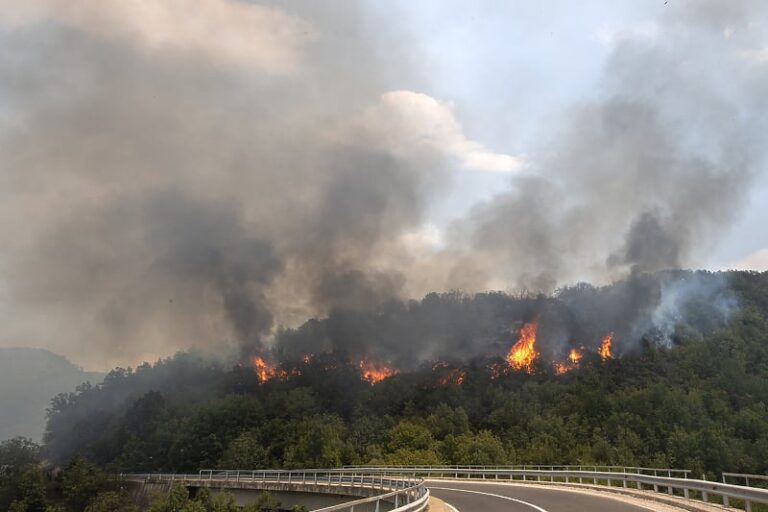 Požare u Turskoj gasi 99 aviona i skoro 5.000 osoba