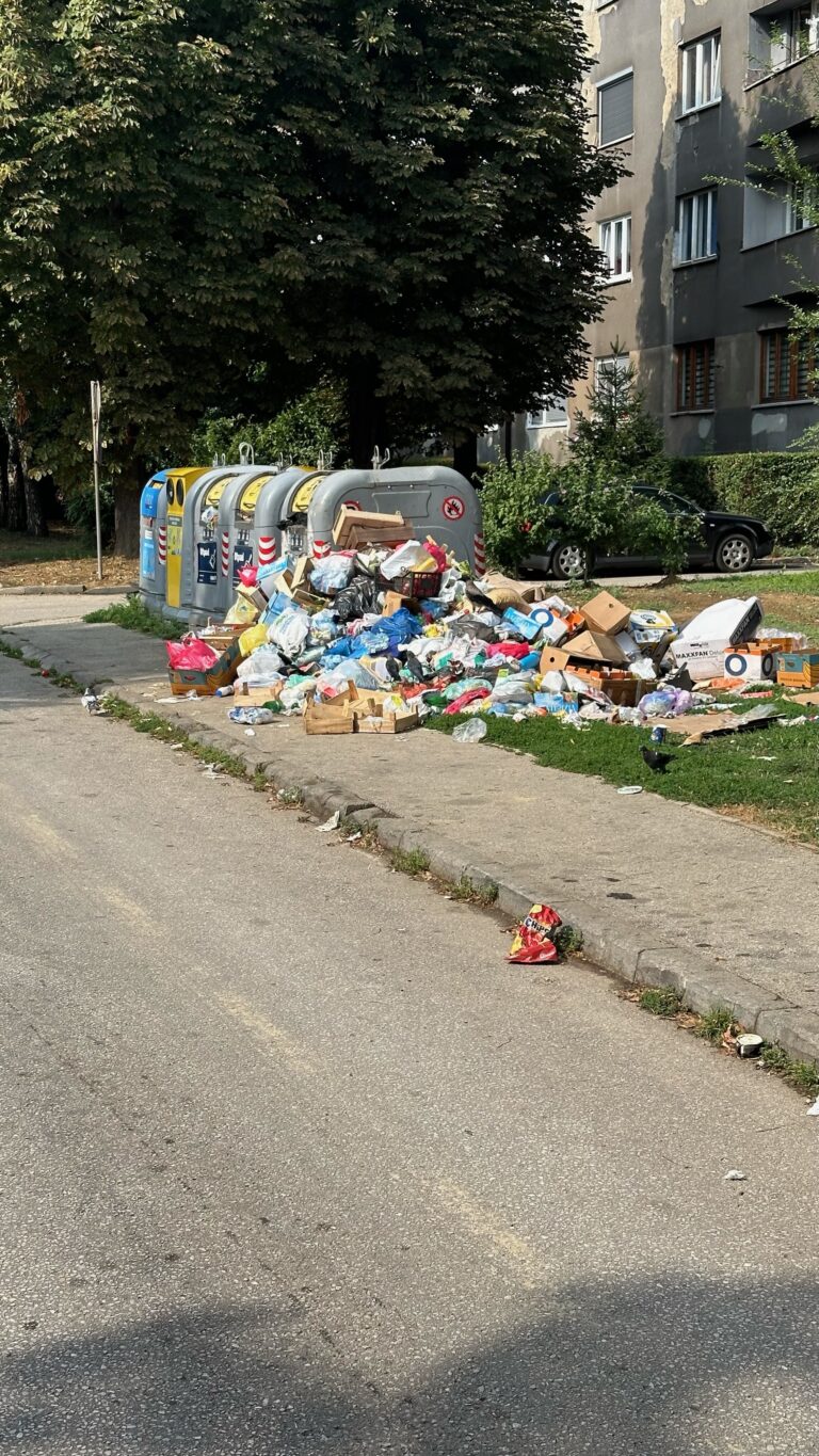 Stanovnici ulice Mehmeda Spahe upozoravaju na ozbiljan problem s otpadom: Nedovoljno kontejnera i neredovit odvoz smeća ugrožavaju zdravlje