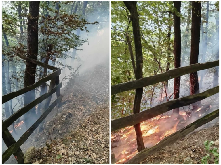 Novi požar na području Zenice