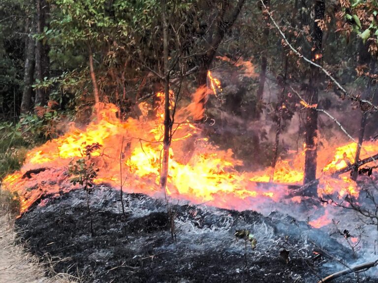 Odobren helikopter za gašenje požara kod Maglaja: Hrabri vatrogasci i mještani bore se sa vatrenom stihijom