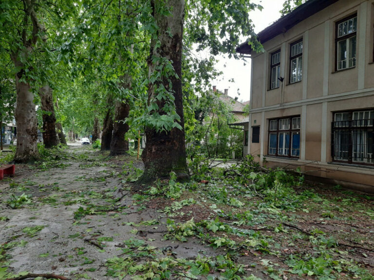 Jaka kiša u Maglaju lomila stabla (FOTO)