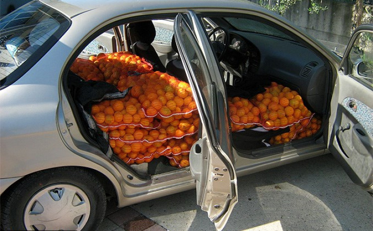 U Škodi pokušao prokrijumčariti 600 kilograma mandarina