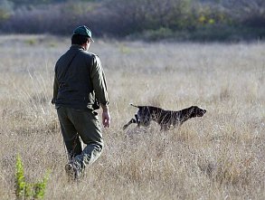 Odobrena sredstva za projekte unapređenja lovstva na području ZDK