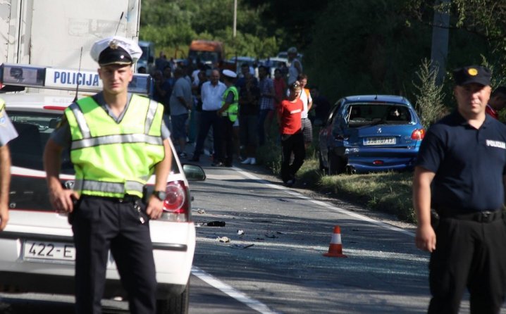 Napraviti “ceste koje opraštaju”, izgraditi žičane ograde i spriječiti nesreće