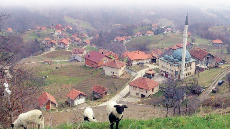 U zeničkoj bolnici liječi se 11 zaraženih pacijenata: Među oboljelima od bruceloze i jednoipogodišnja beba!