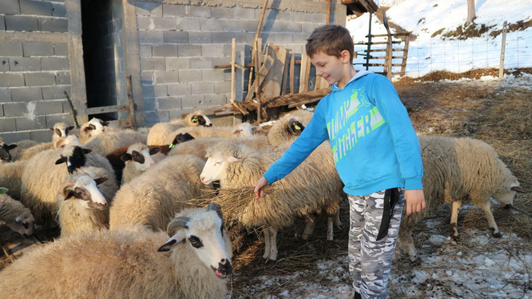 DIJETE ZA PRIMJER Umjesto igrački skuplja ovce, od bajramskog džeparca kupio kauč i janje