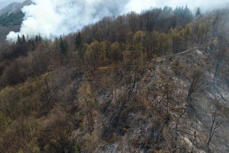 ŠPD ZDK: Za samo 20 dana na području ZDK evidentirano 79 šumskih požara