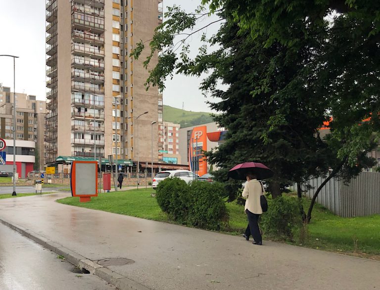 Nevrijeme u Zenici: Palo drvo ispred OŠ “Musa Ćazim Ćatić” (FOTO)