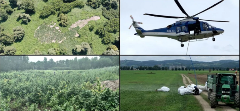 Slovenija: Helikopterom pronašli plantažu marihuane vrijednu više od 2 miliona eura