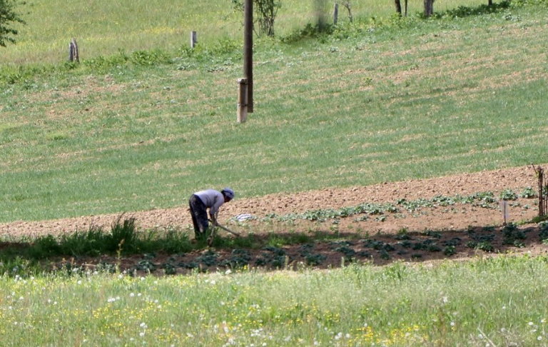 Proljetna sjetva u punom jeku: Zemljoradnici opstaju uz kredite, traže veću pomoć nadležnih