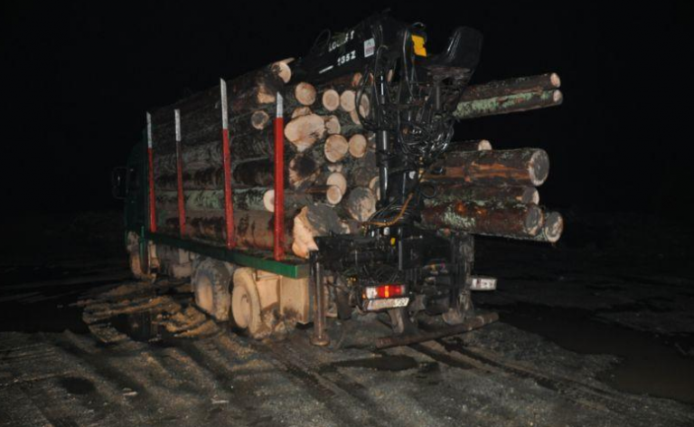 Kriminal unosniji od trgovine drogom: Koliko šumokradice zarađuju po jednom kamionu drveta