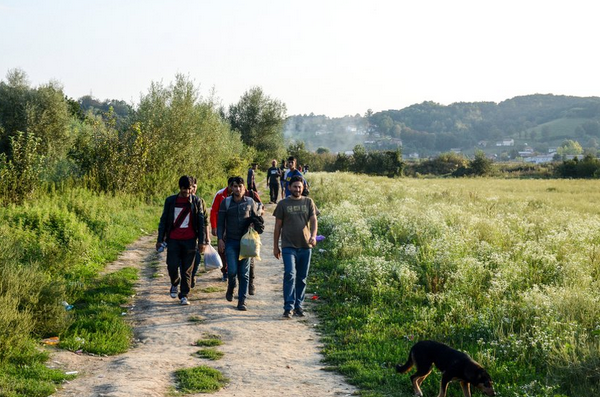 Pritisak raste: Lijepo vrijeme donosi i povećan broj migranata na granice BiH