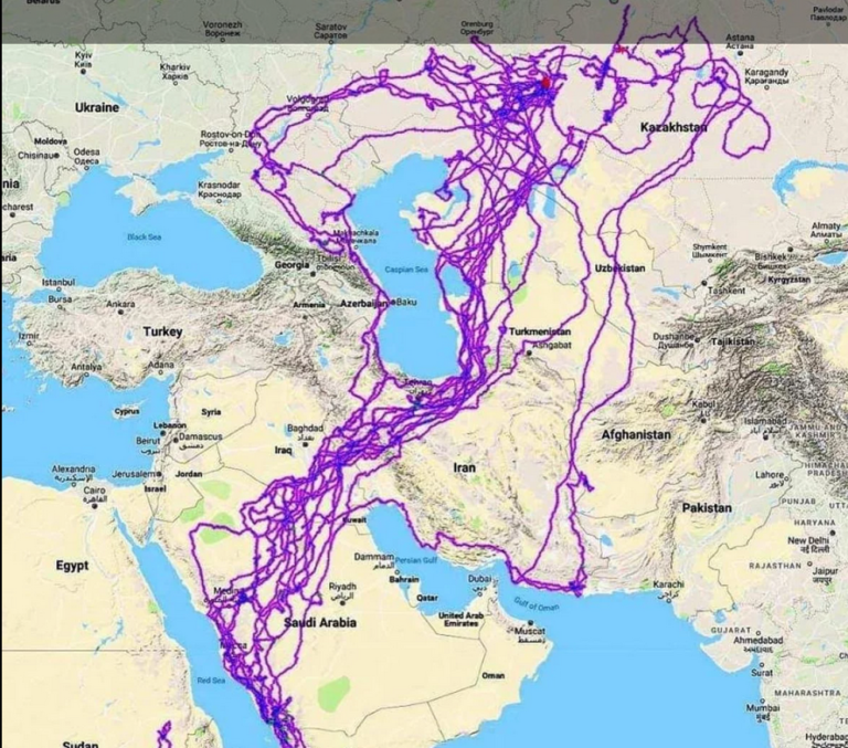 Fascinantno otkriće: Pogledajte mapu kuda se jedan orao kretao punih 20 godina