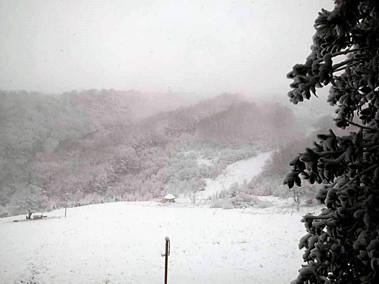 IDILIČAN PRIZOR Smetovi pod bijelim pokrivačem (FOTO)