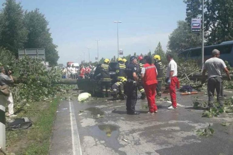 Cijeli region zahvatilo olujno nevrijeme, najviše pogođen Novi Sad