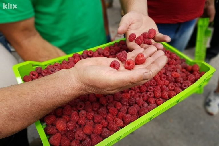 Malinari SBK žele graditi hladnjače u saradnji s kantonalnim vlastima: Prerađivat ćemo maline i izvoziti