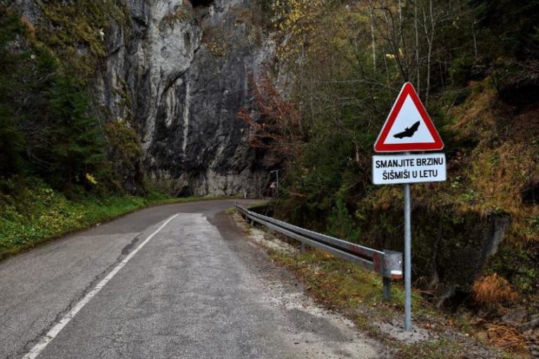 Kod Vareša postavljen prvi znak opasnosti na svijetu koji upozorava na šišmiše