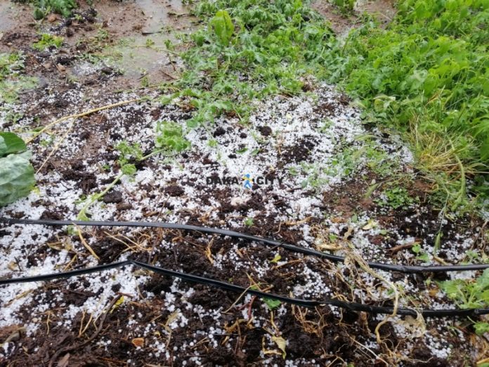 Snažno nevrijeme ponovo pogodilo BiH, grad uništio usjeve