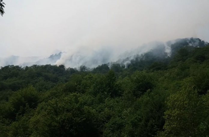 Požar na planini Čvrsnici se širi